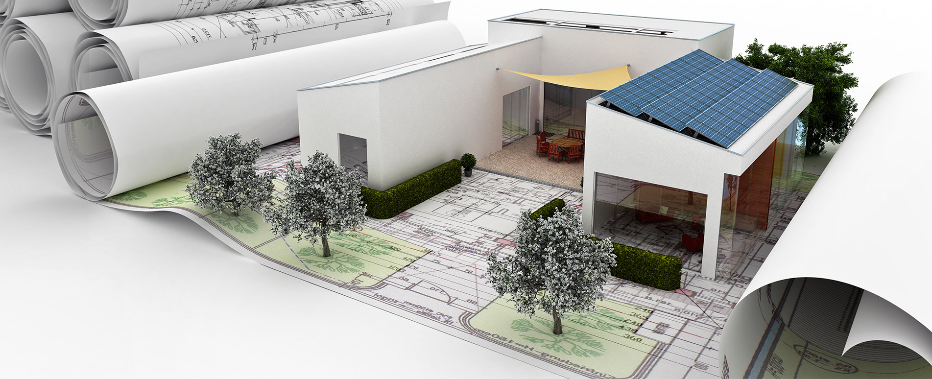 Banner - Ole Petersen